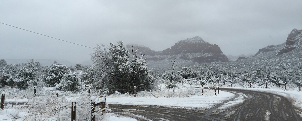 Frozen Deserts