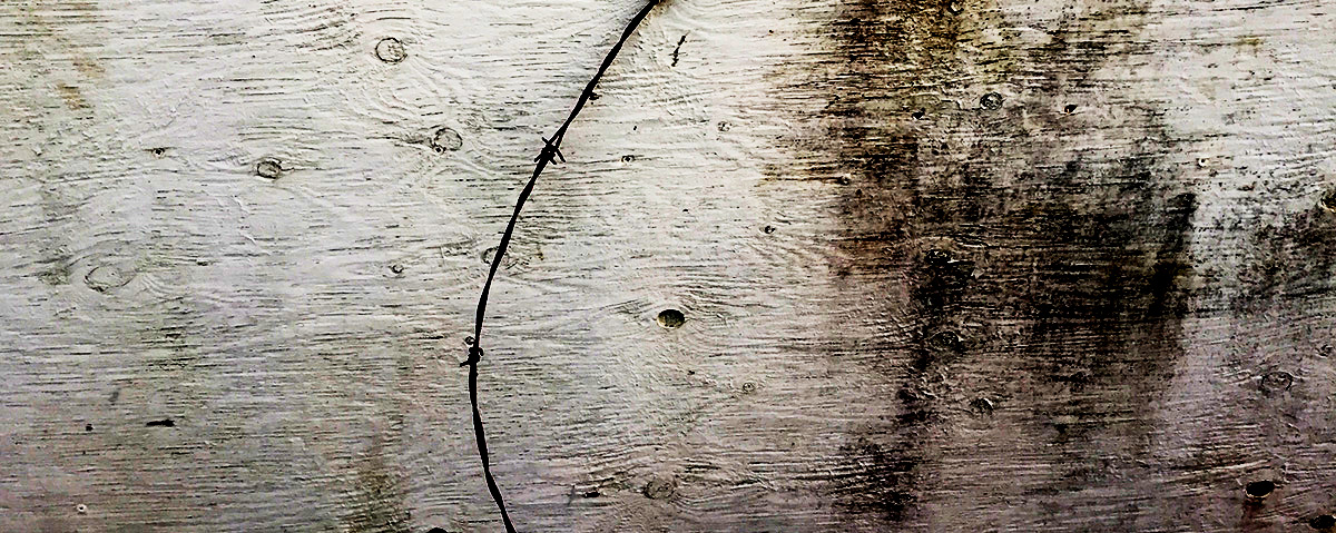 Wire Wall